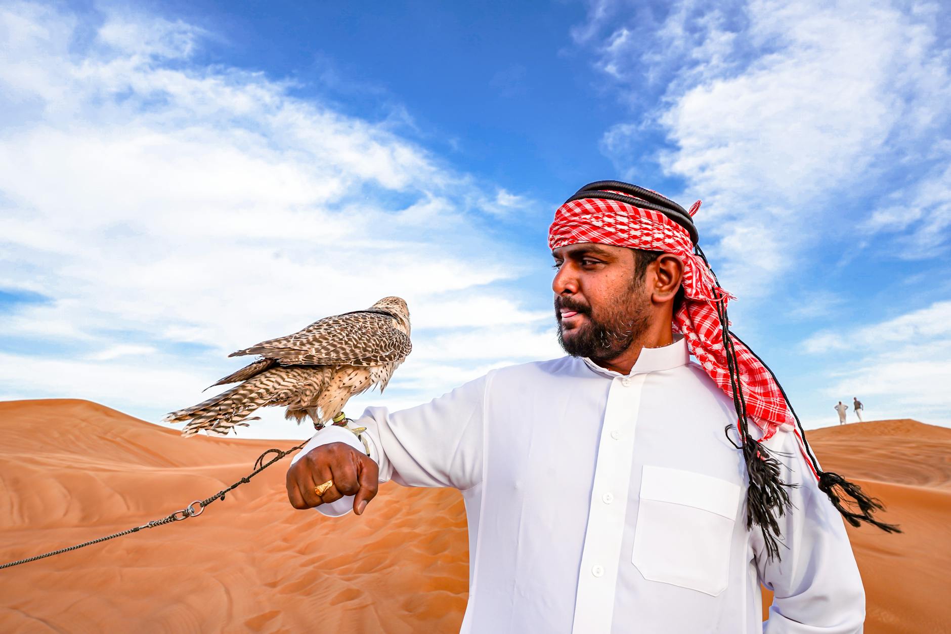 Desert dune safari + Bedouin camp