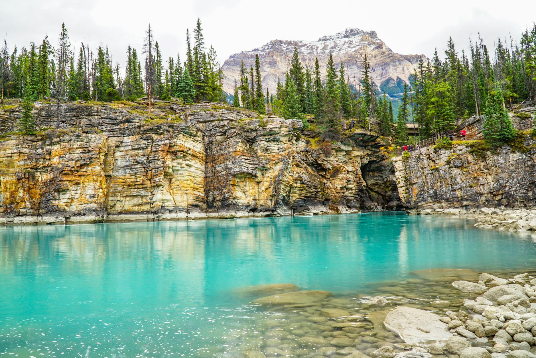 Jasper: Maligne Canyon + wildlife