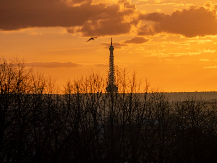 Eiffel Tower at golden hour