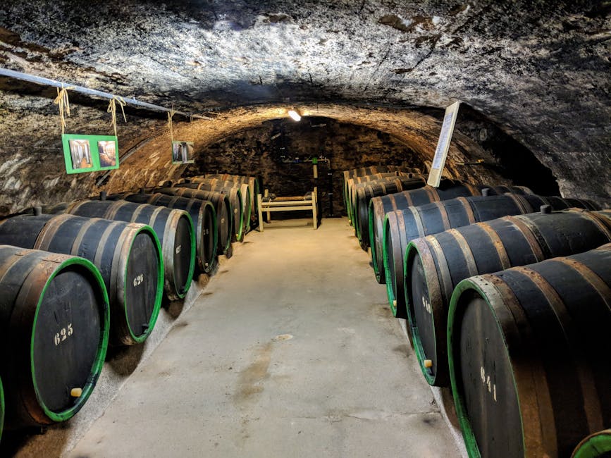 Wine tasting in a Marais cave
