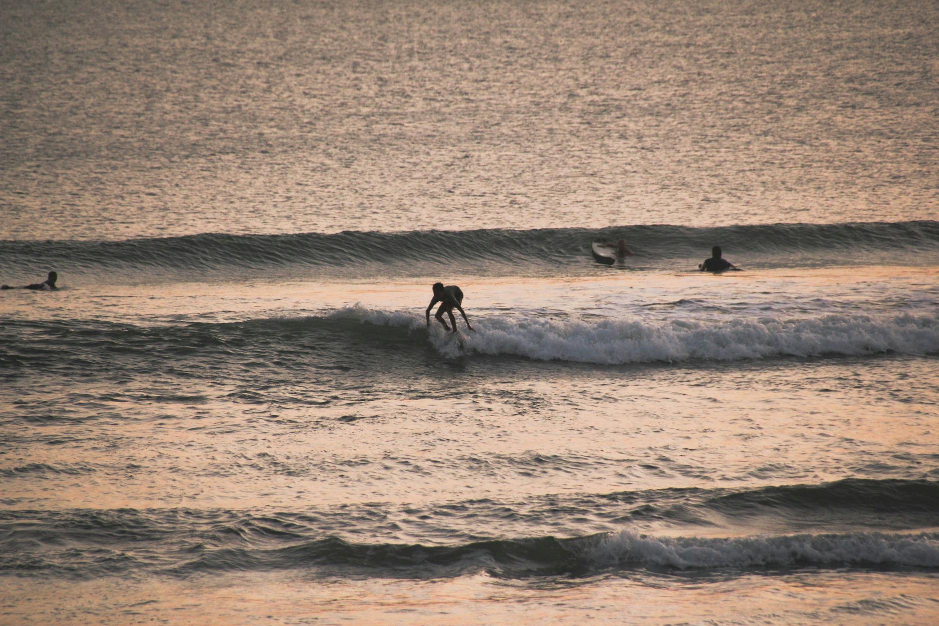 Canggu surf lesson + sunset bar