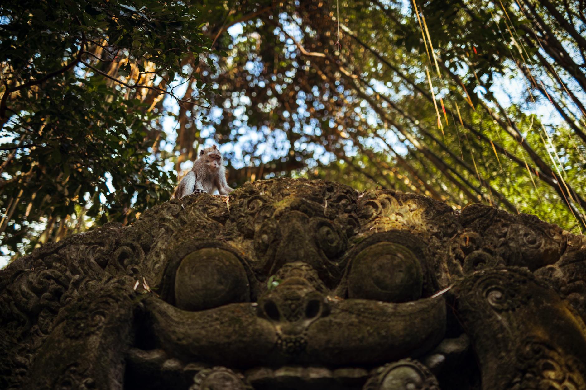 Sacred Monkey Forest