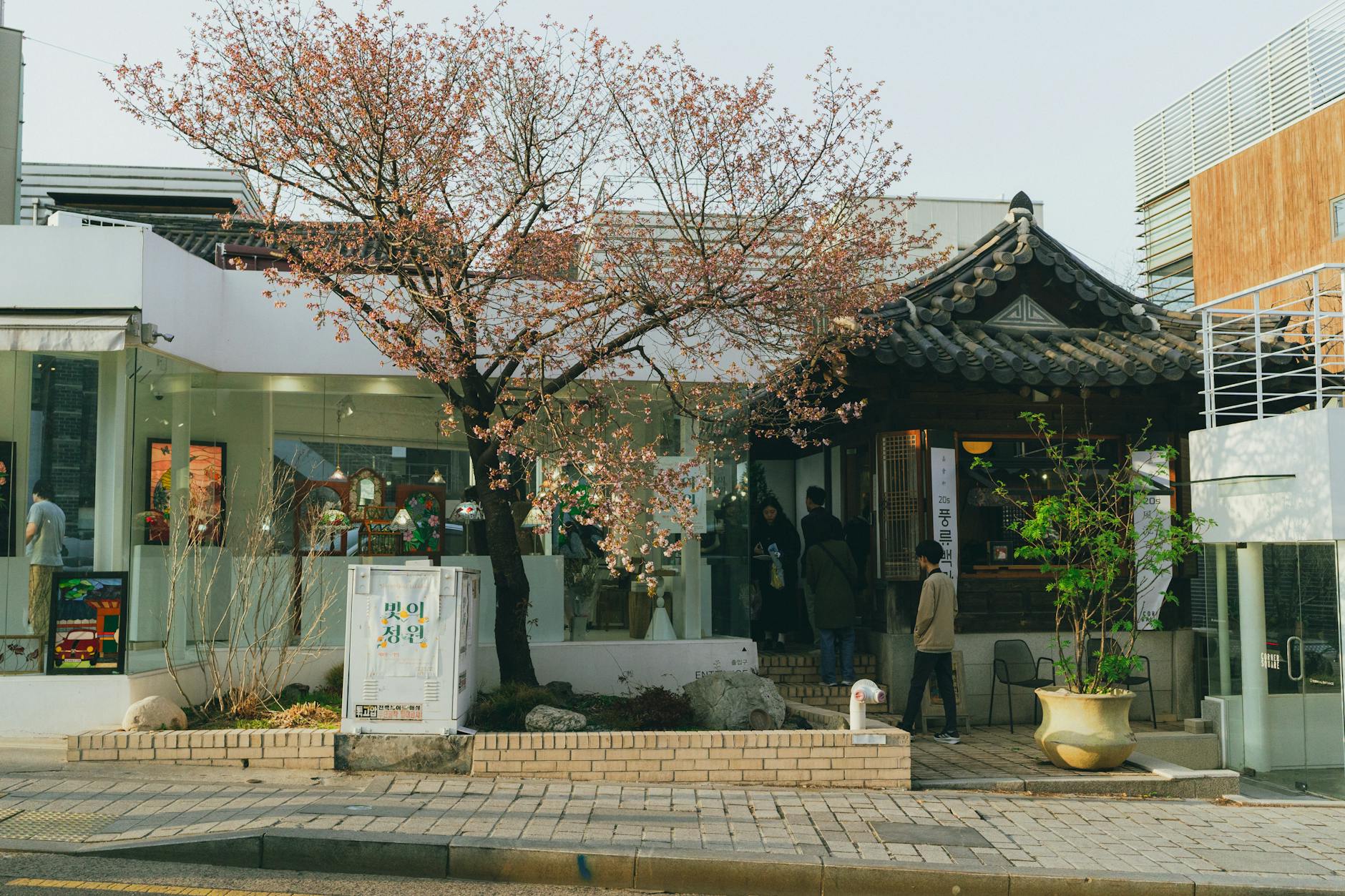 Jjimjilbang Korean spa night