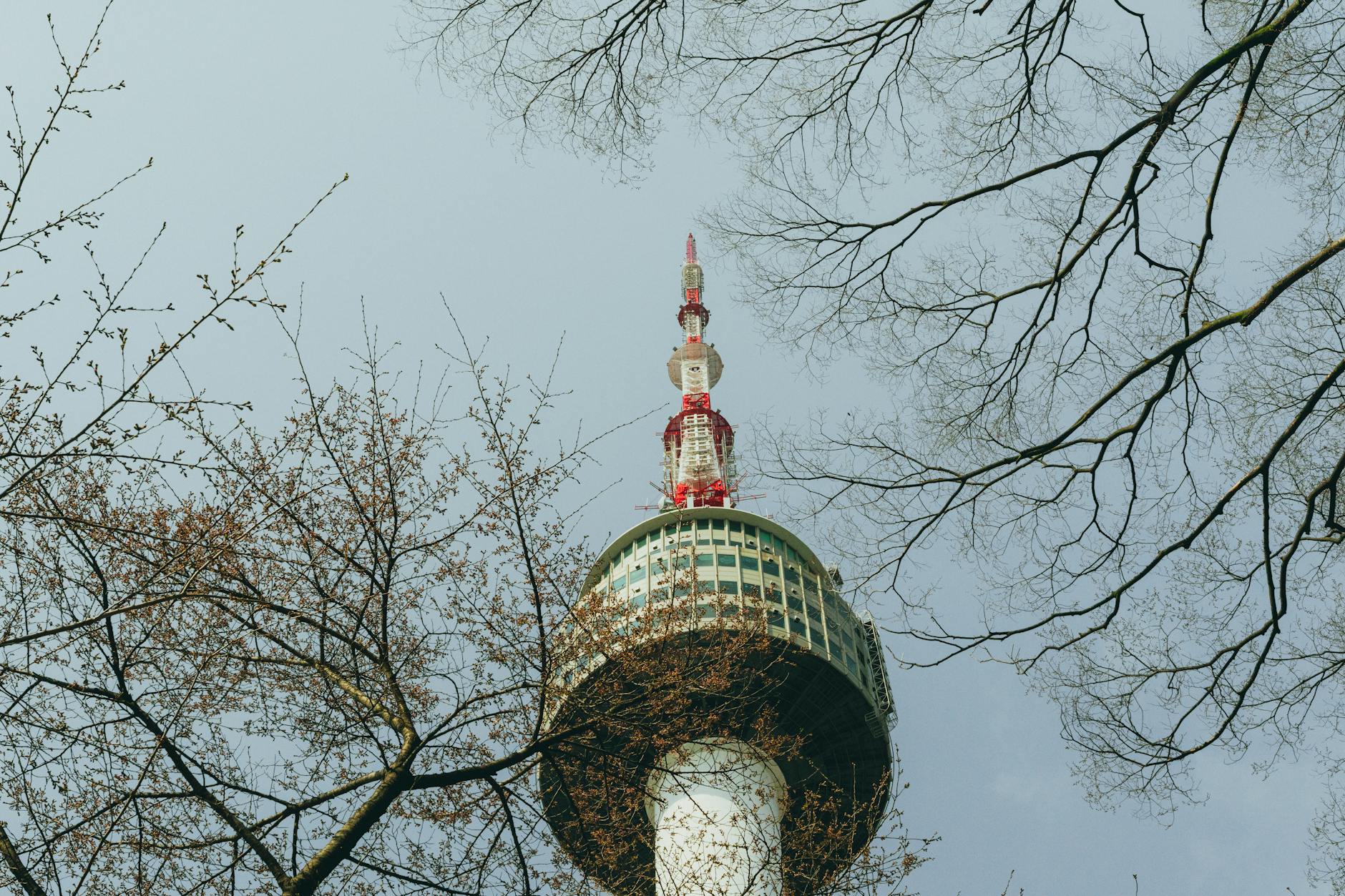 N Seoul Tower + Namsan walk