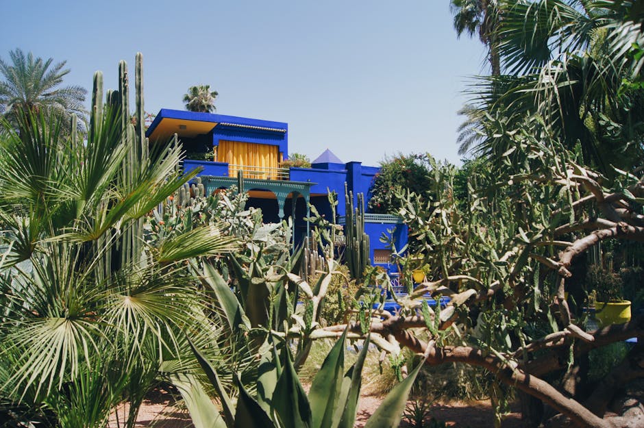 Jardin Majorelle + YSL Museum