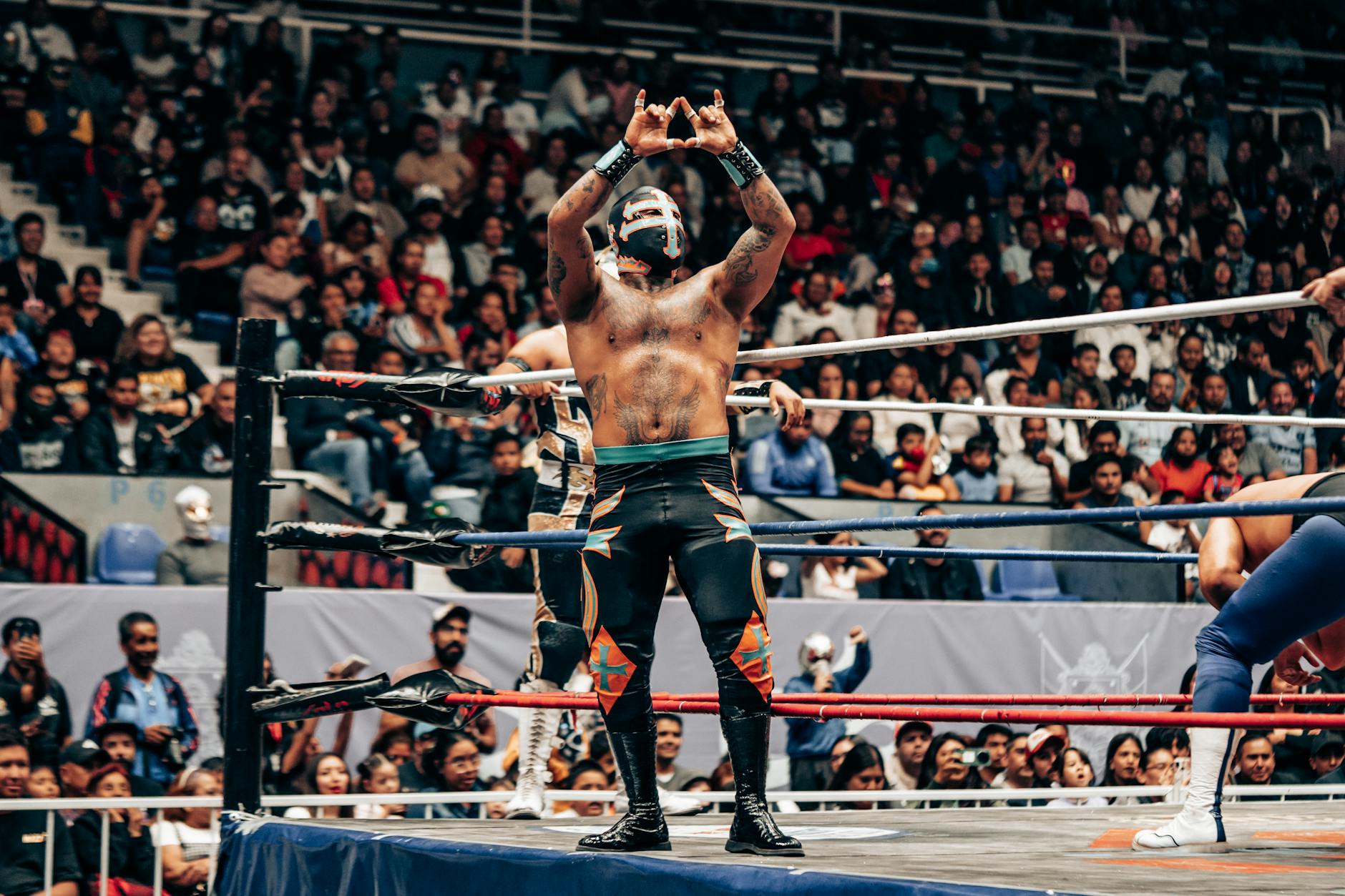 Lucha libre night at Arena México
