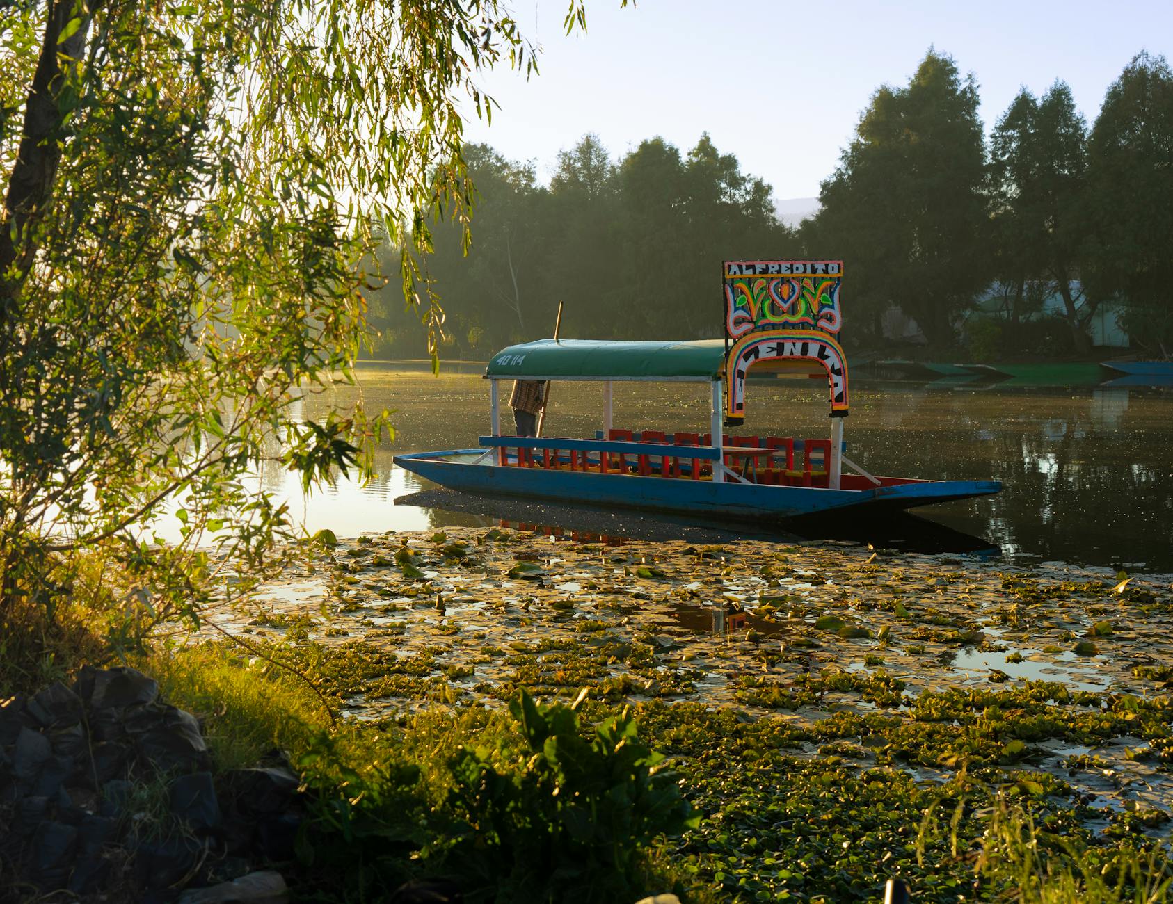 Xochimilco trajinera boat party