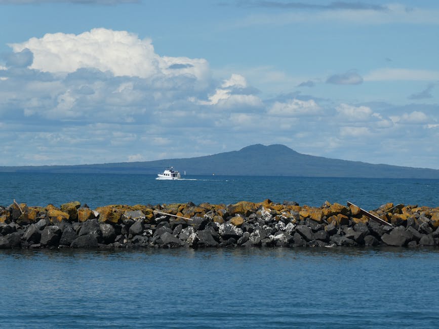 Rangitoto Island day trip