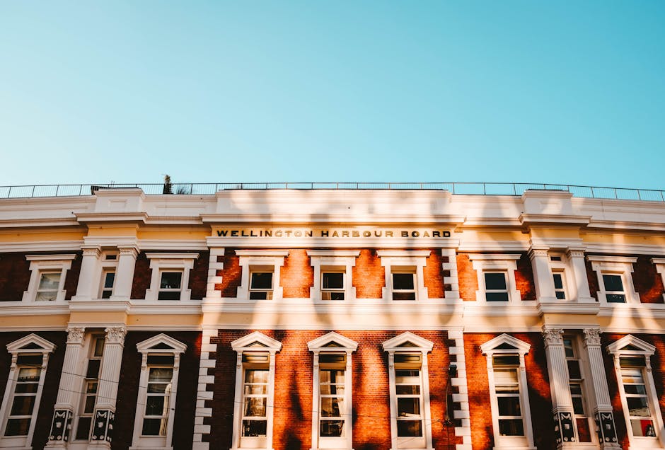 Te Papa + Cuba Street
