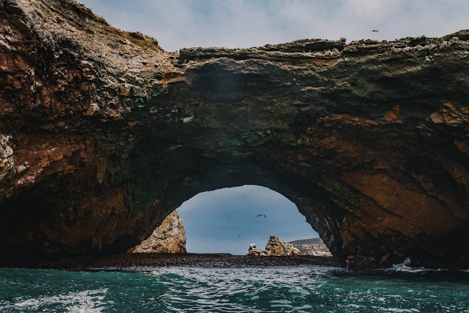 Paracas + Ballestas Islands