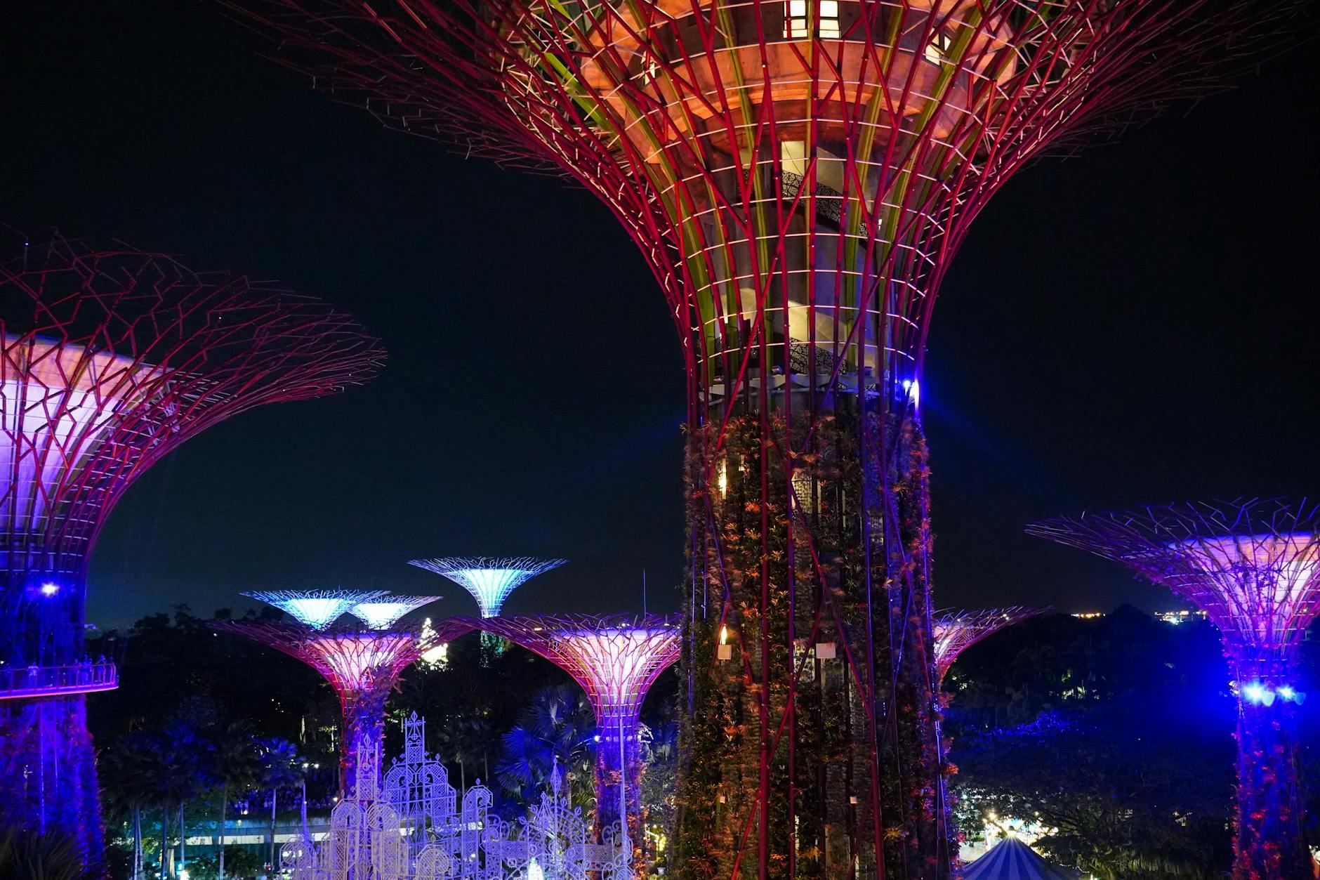 Gardens by the Bay + Supertrees