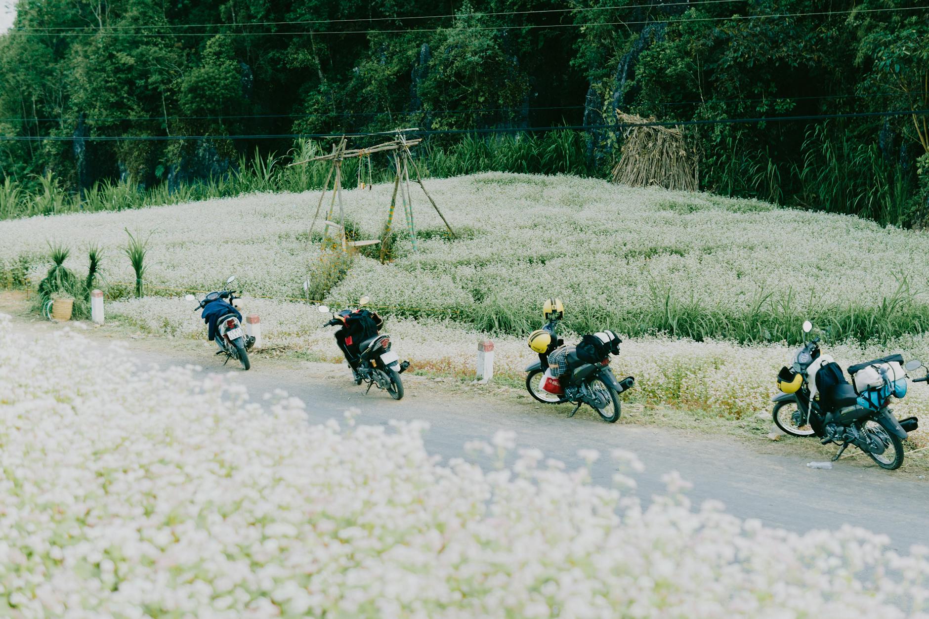 Ha Giang Loop motorbike (3 days)