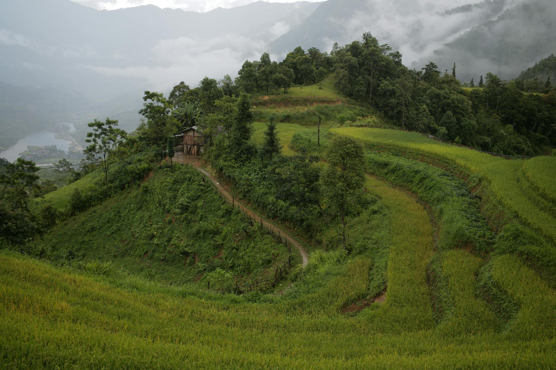 Sapa rice-terrace trek (2 days)